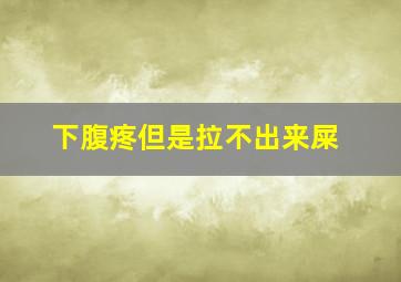 下腹疼但是拉不出来屎