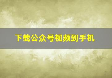 下载公众号视频到手机