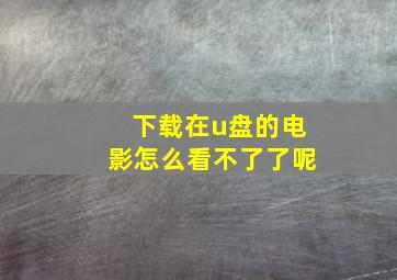 下载在u盘的电影怎么看不了了呢