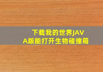 下载我的世界JAVA版能打开生物碰撞箱