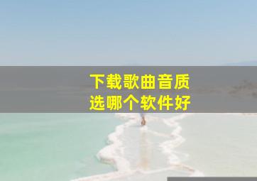 下载歌曲音质选哪个软件好