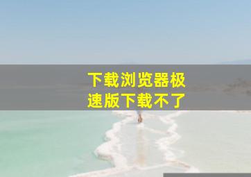 下载浏览器极速版下载不了