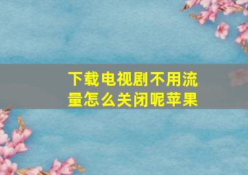 下载电视剧不用流量怎么关闭呢苹果