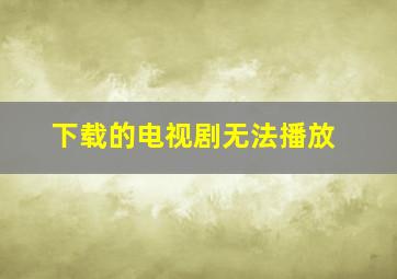 下载的电视剧无法播放