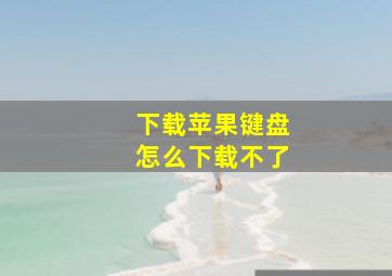 下载苹果键盘怎么下载不了