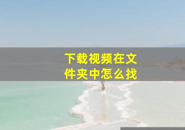 下载视频在文件夹中怎么找