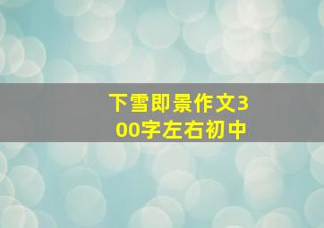 下雪即景作文300字左右初中