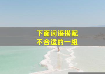 下面词语搭配不合适的一组