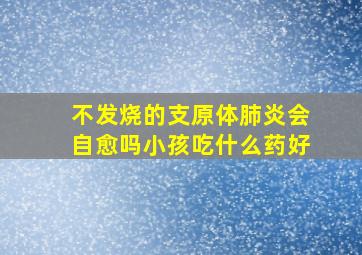 不发烧的支原体肺炎会自愈吗小孩吃什么药好