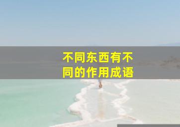 不同东西有不同的作用成语