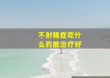 不射精症吃什么药能治疗好