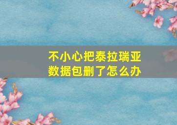 不小心把泰拉瑞亚数据包删了怎么办