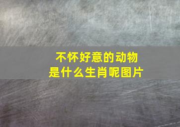 不怀好意的动物是什么生肖呢图片