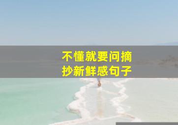 不懂就要问摘抄新鲜感句子