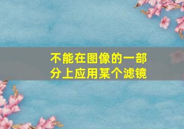 不能在图像的一部分上应用某个滤镜