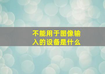 不能用于图像输入的设备是什么