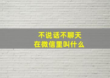 不说话不聊天在微信里叫什么