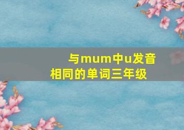 与mum中u发音相同的单词三年级