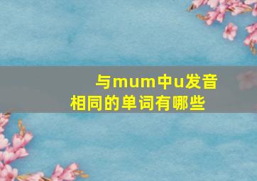 与mum中u发音相同的单词有哪些