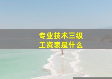 专业技术三级工资表是什么