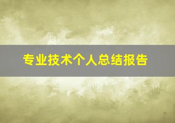 专业技术个人总结报告