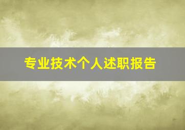 专业技术个人述职报告