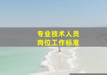 专业技术人员岗位工作标准