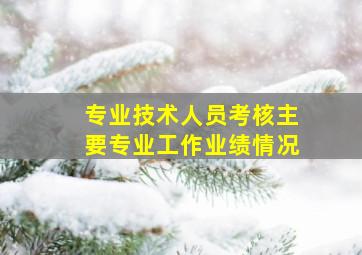 专业技术人员考核主要专业工作业绩情况