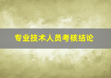 专业技术人员考核结论