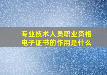 专业技术人员职业资格电子证书的作用是什么