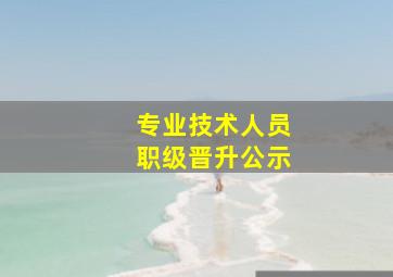 专业技术人员职级晋升公示