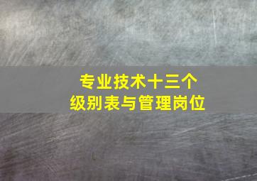 专业技术十三个级别表与管理岗位