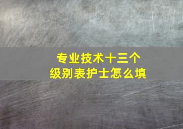 专业技术十三个级别表护士怎么填