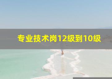 专业技术岗12级到10级