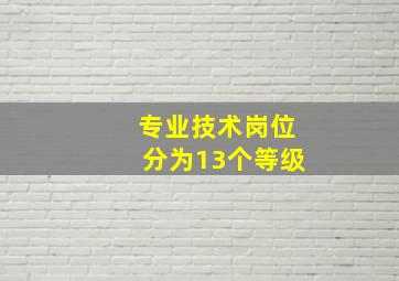 专业技术岗位分为13个等级