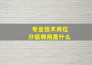 专业技术岗位分级聘用是什么