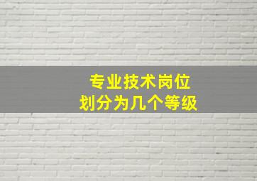 专业技术岗位划分为几个等级