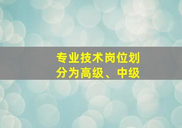 专业技术岗位划分为高级、中级