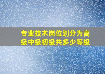 专业技术岗位划分为高级中级初级共多少等级