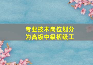 专业技术岗位划分为高级中级初级工