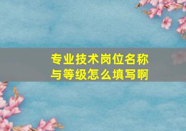 专业技术岗位名称与等级怎么填写啊