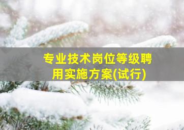 专业技术岗位等级聘用实施方案(试行)