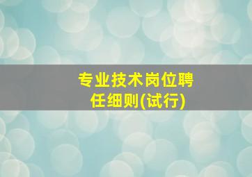 专业技术岗位聘任细则(试行)