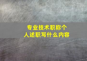 专业技术职称个人述职写什么内容