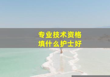 专业技术资格填什么护士好