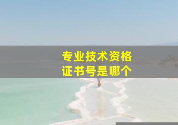 专业技术资格证书号是哪个