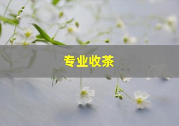 专业收茶