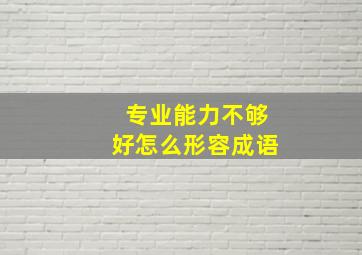 专业能力不够好怎么形容成语