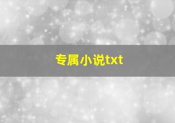 专属小说txt