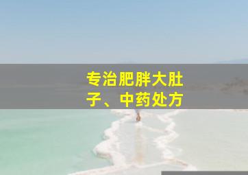 专治肥胖大肚子、中药处方